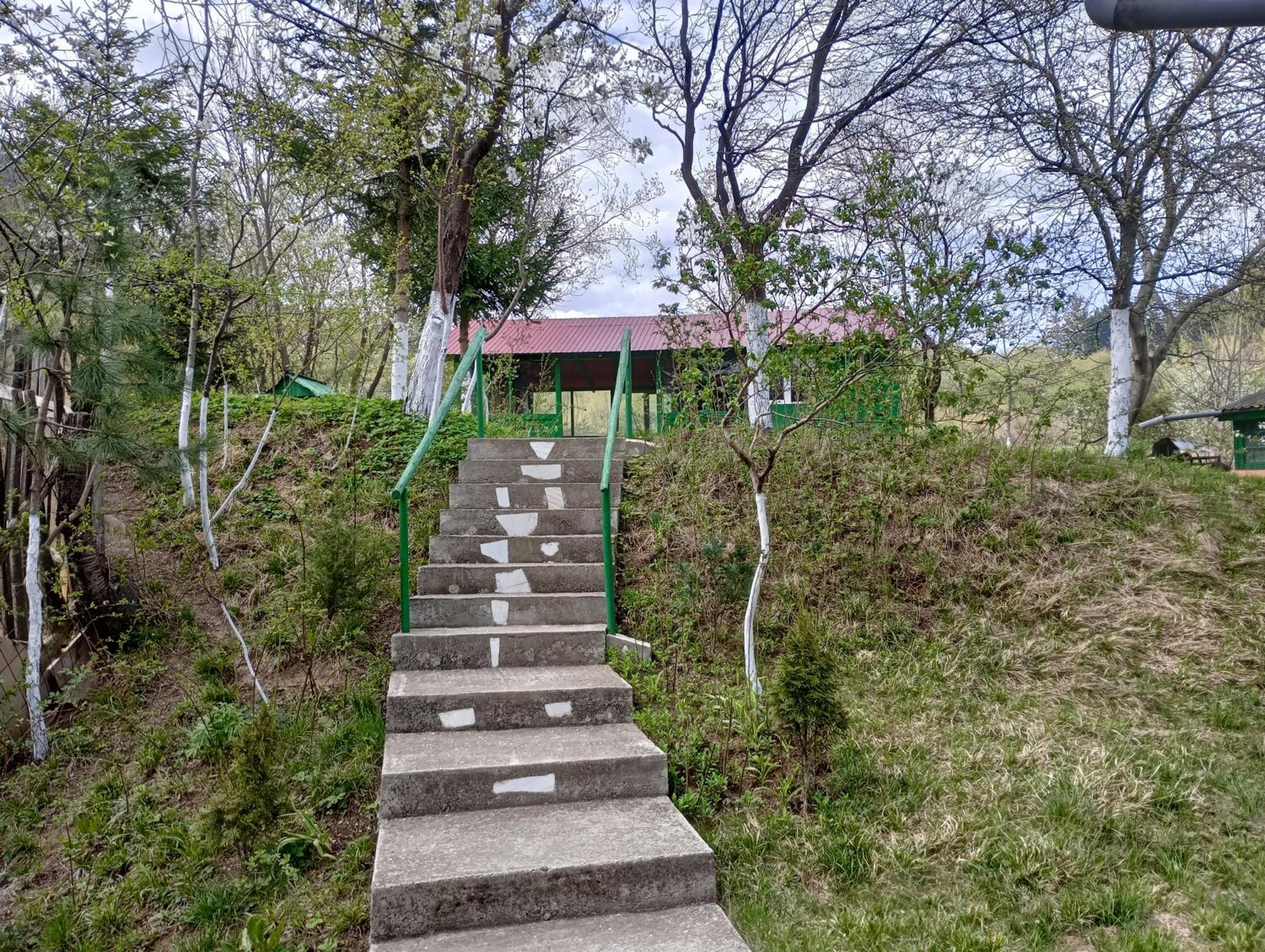 Pensiunea Irina 1 Si 2 Zărneşti Kültér fotó