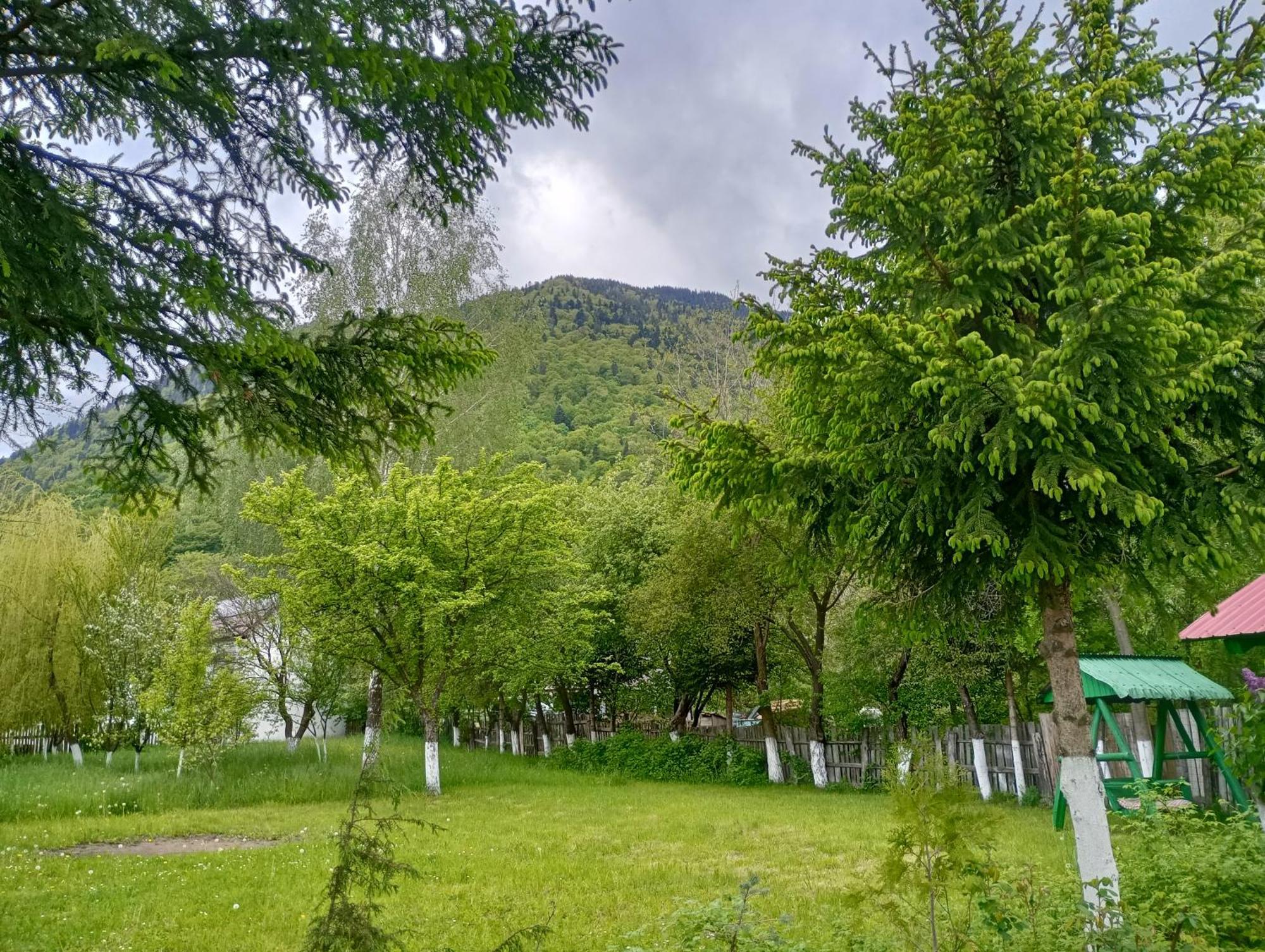 Pensiunea Irina 1 Si 2 Zărneşti Kültér fotó